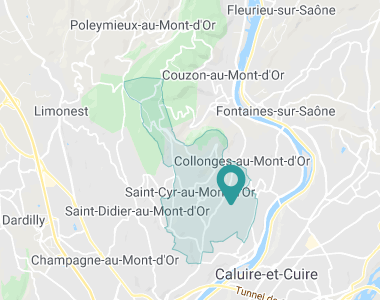 Le Domaine de la Chaux Saint-Cyr-au-Mont-d'Or
