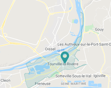 Les Jonquilles Tourville-la-Rivière