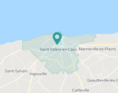 Les Camélias Saint-Valery-en-Caux